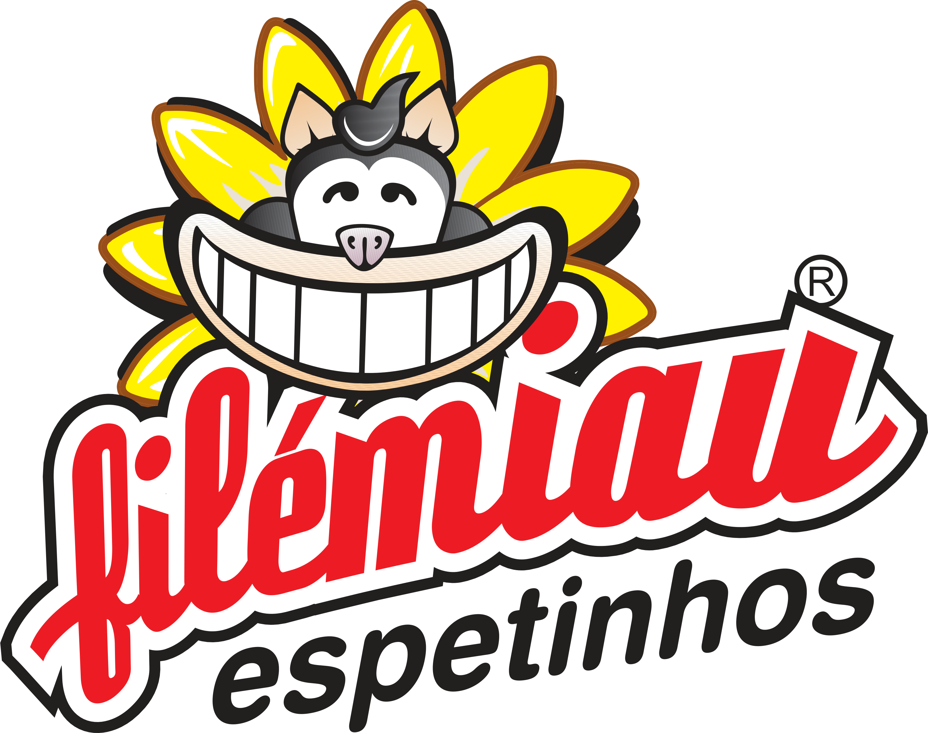 FiléMiau Espetinhos